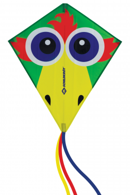 Lenkdrache Classic Kite 70 Crazy Bird