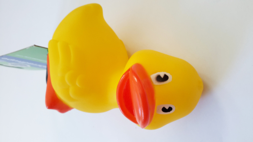 Fahrradhupe, Velohupe, Ente