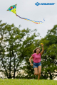 Lenkdrache Classic Kite 70 Crazy Bird