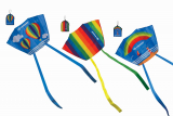 Taschendrachen Pocket Kite L