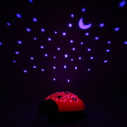 Sternenlicht Marienkäfer, schwarz rot