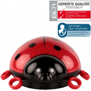 Sternenlicht Marienkäfer, schwarz rot