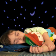 Sternenlicht Marienkäfer, schwarz rot