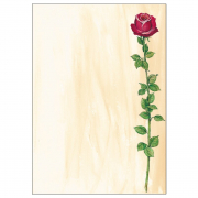 Design-Papier, A4, 90 g, Rose Bloom, 25x