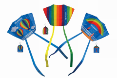 Taschendrachen Pocket Kite L