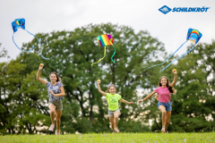 Taschendrachen Pocket Kite L