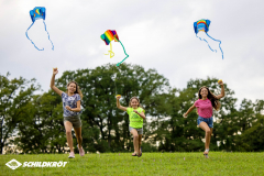 Taschendrachen Pocket Kite L